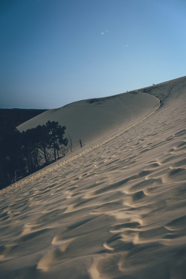 Desert