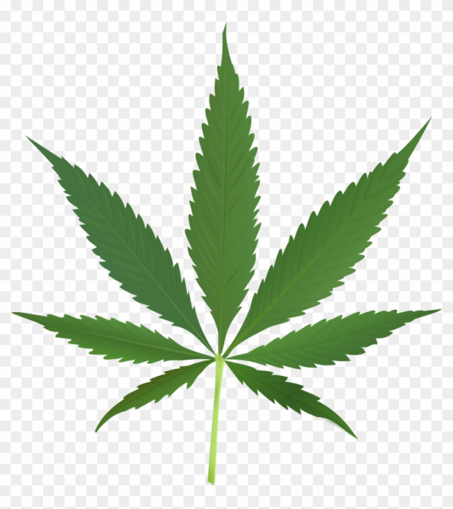Free Does Marijuana Make You More Creative Cannabis Leaf Nohat Cc