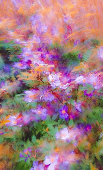 Dreamy Abstract Floral Background