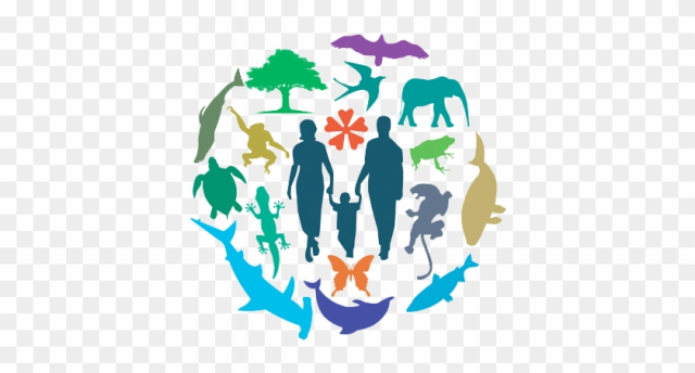 Each Year, 22 May Is Celebrated As World Biodiversity - Biodiversity And International Trade