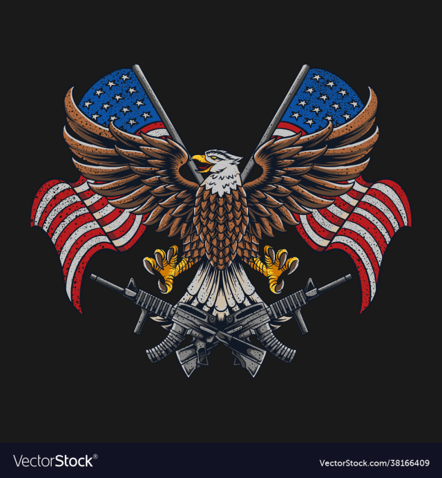 eagle united states american flag and machine gun