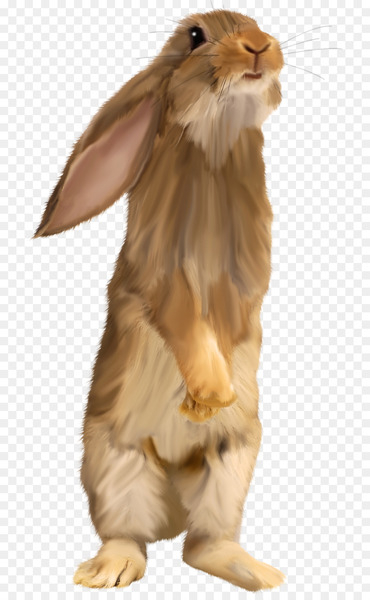Easter Bunny Hare Squirrel Rabbit - Brown cute bunny
