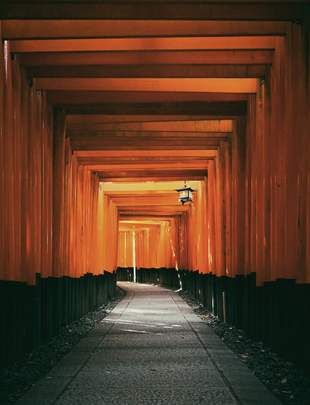 Empty brown and black tunnel. | Free Photo - rawpixel