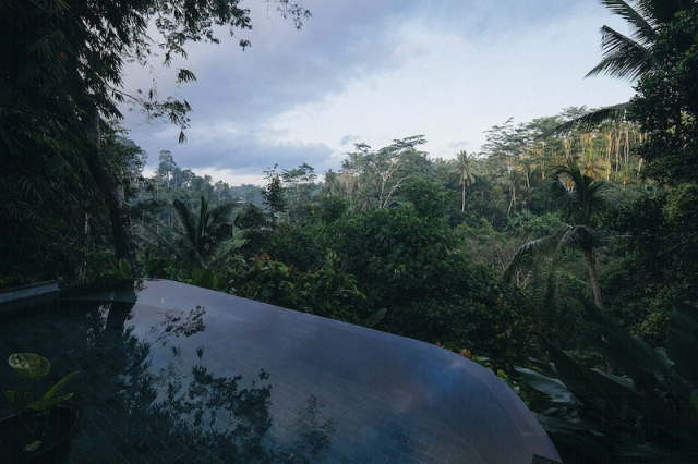 Empty pool in a jungle. | Free Photo - rawpixel