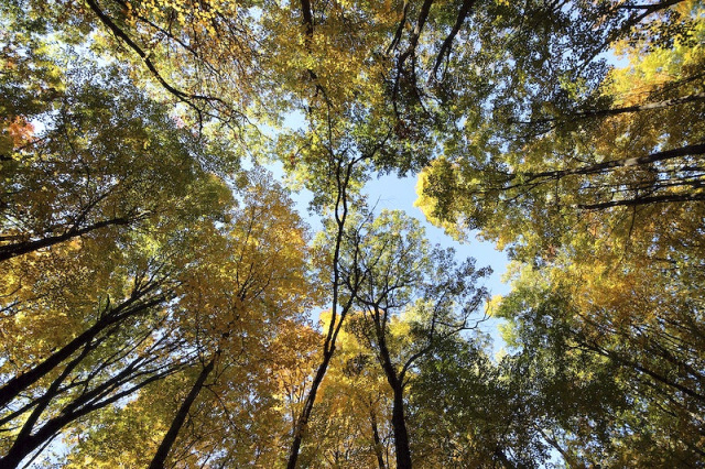 Fall Hiking. Fall at Devil's | Free Photo - rawpixel