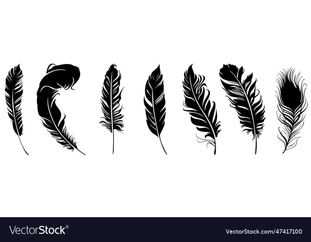 feather