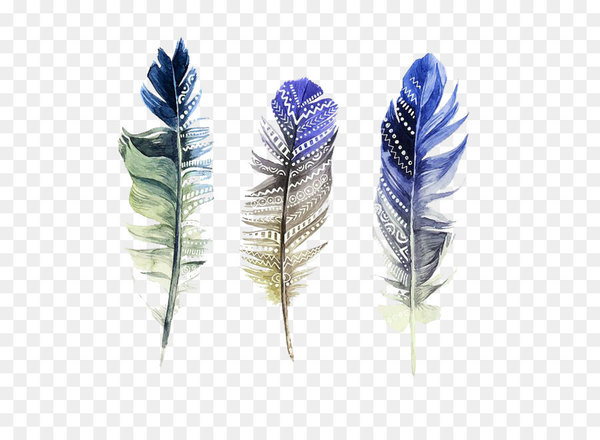Feather Watercolor painting Illustration - Watercolor feather