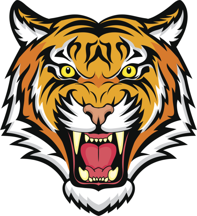 Fierce Tiger Head Illustration