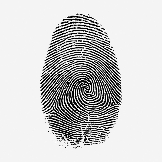 Fingerprint drawing, vintage whorl illustration. | Free Photo - rawpixel