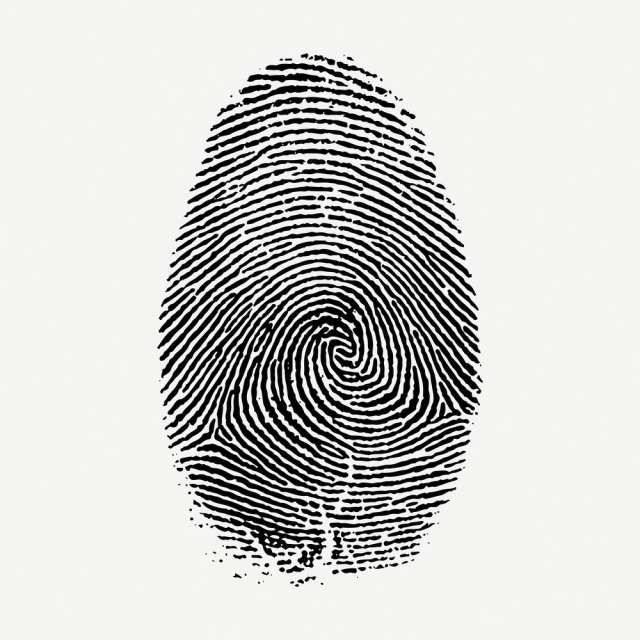 Fingerprint drawing, vintage whorl illustration | Free PSD - rawpixel