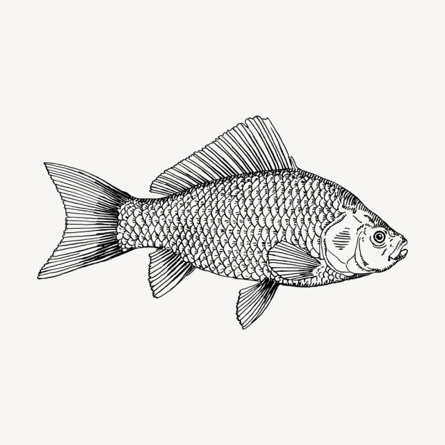 Fish clipart, vintage sea animal | Free Vector - rawpixel
