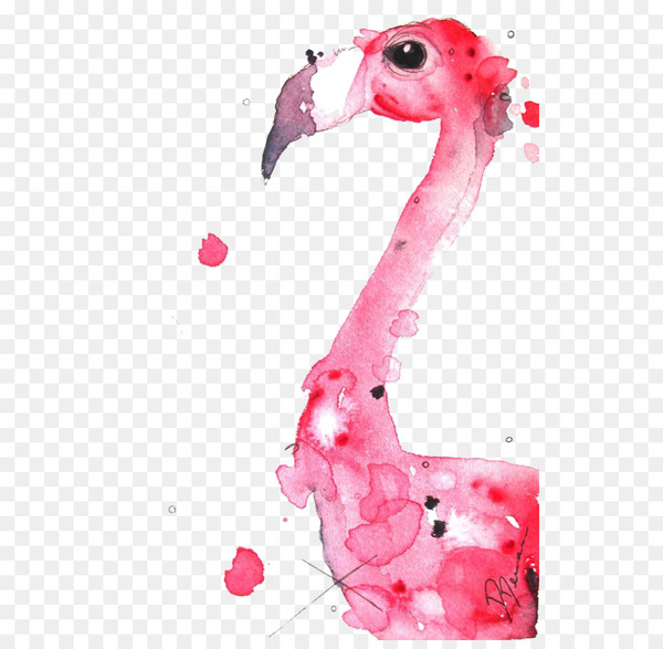 Flamingo Watercolor painting Illustration - Watercolor flamingo 