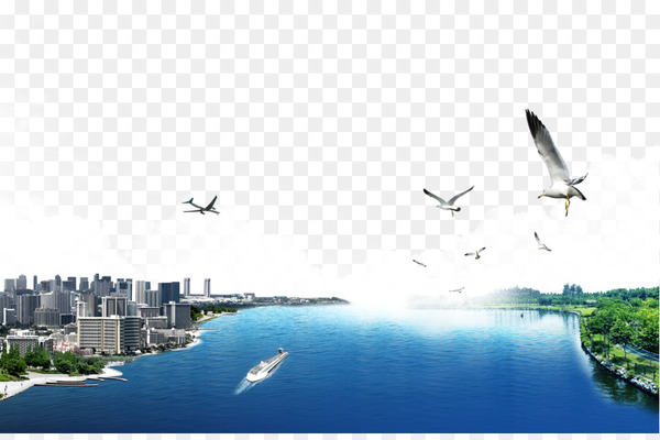 Flight Aircraft Airplane - Aircraft traces
