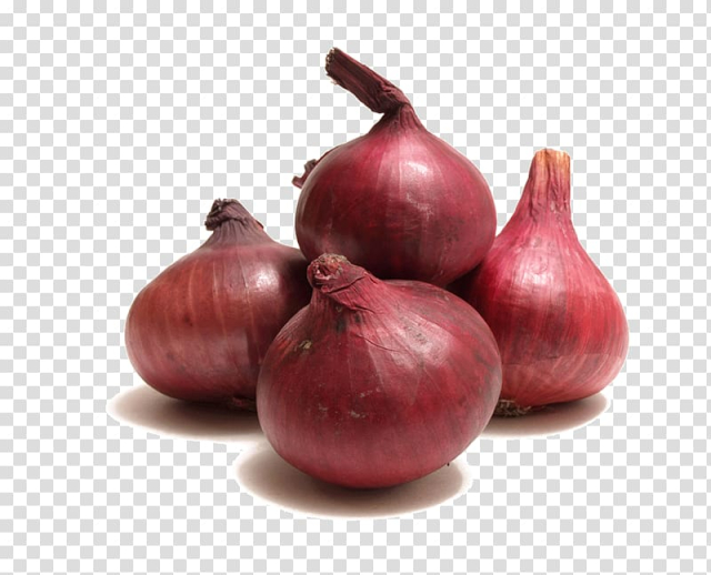 Four shallots art, Potato onion Vegetable Garlic Red onion, onion transparent background PNG clipart