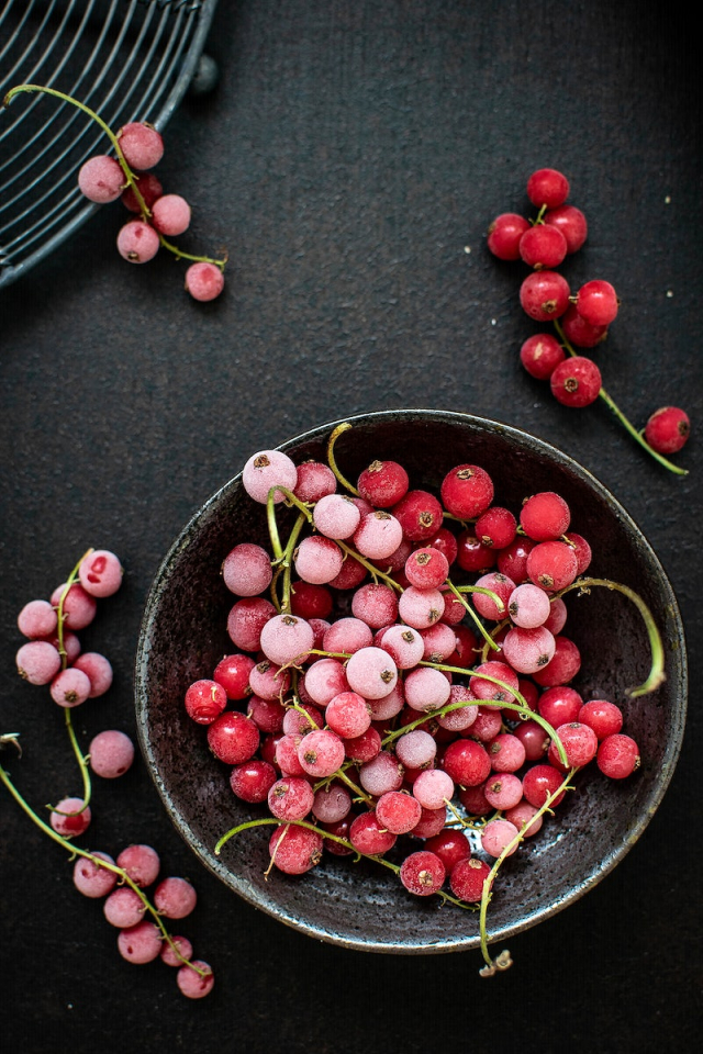 Free berry image, public domain | Free Photo - rawpixel