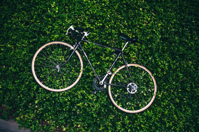 Free bicycle in a bush | Free Photo - rawpixel
