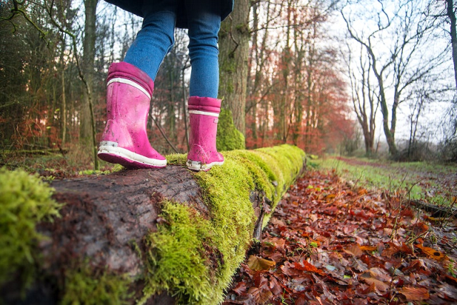 Free boot photo, public domain | Free Photo - rawpixel