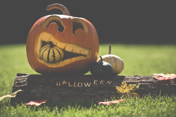 Free Photo of carved, halloween, halloween pumpkin