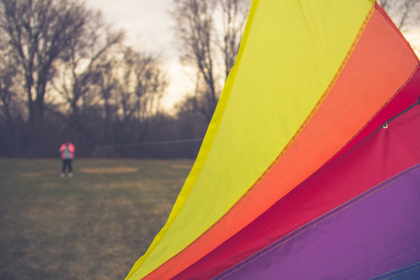 Free Photo of kite, park, colors