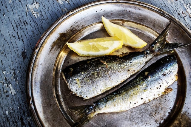Free sardines and lemon on a metal | Free Photo - rawpixel