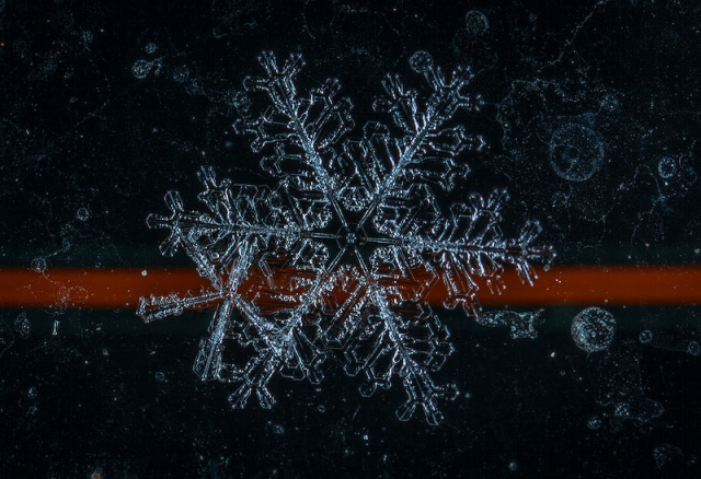 Free snowflakes background image, public | Free Photo - rawpixel