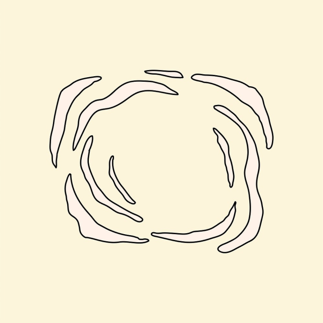 Funky irregular wavy lines, abstract | Free Vector - rawpixel
