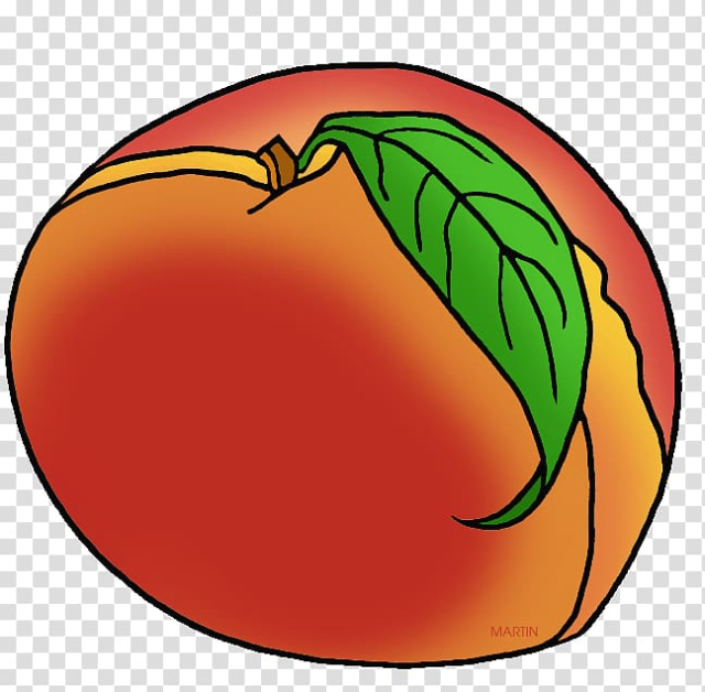 Georgia Peach Fruit , peach blossom transparent background PNG clipart