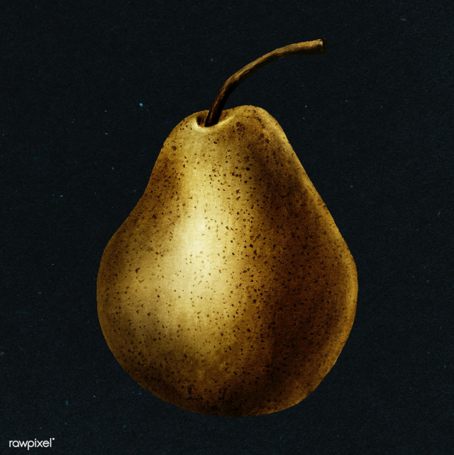 Gold pear fruit sticker design element | Free illustration - 2365982