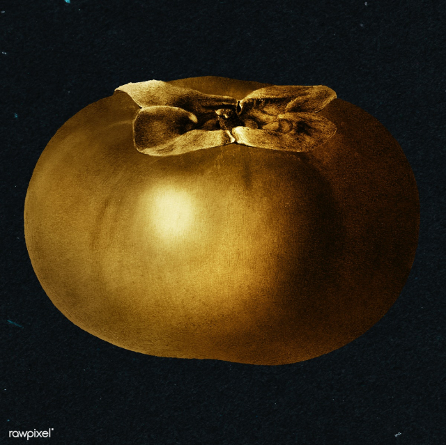 Gold persimmon fruit sticker design element | Free illustration - 2366009