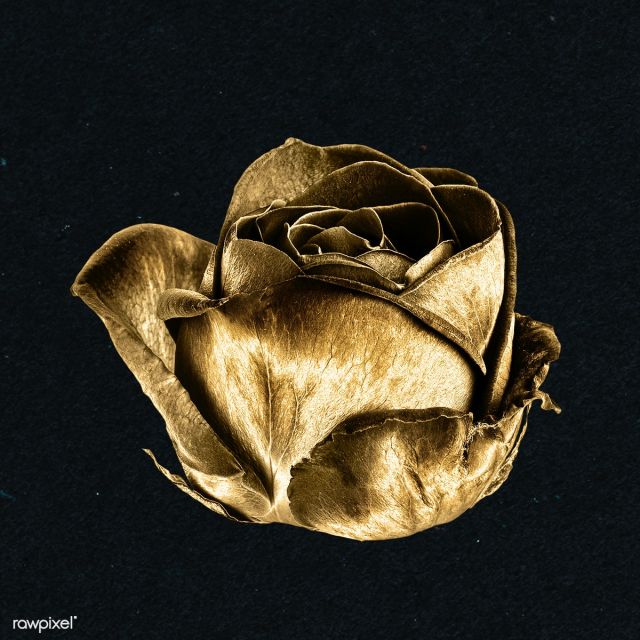 Gold rose flower sticker design element | Free illustration - 2366505