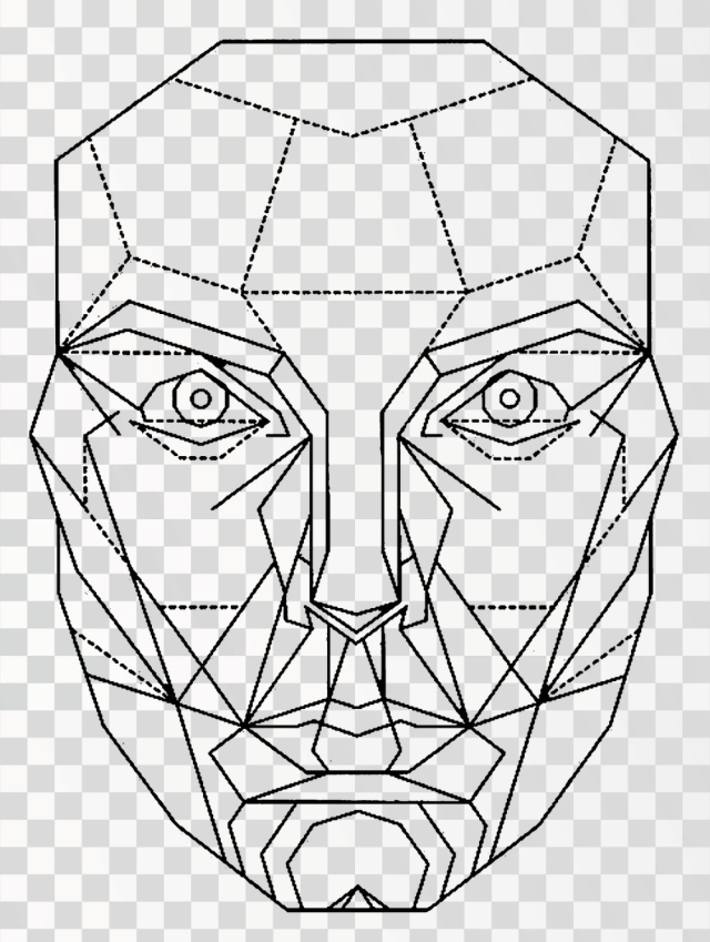 golden ratio face PNG transparent background