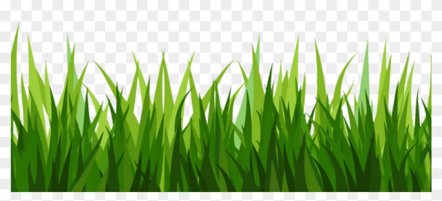 Grass Clipart Image Green - Transparent Background Grass Clipart
