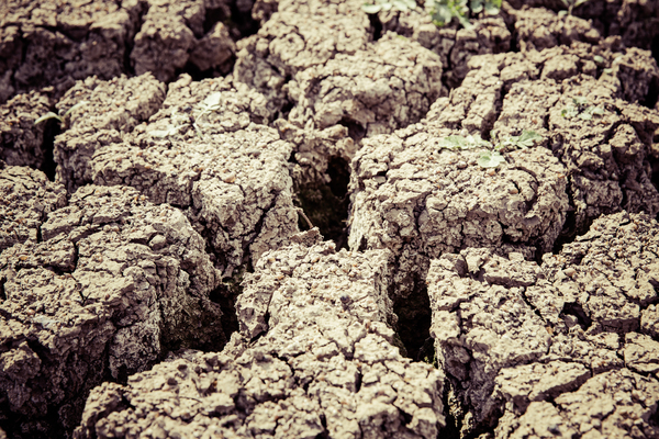 Gray Dry Soil in Macro Shot Photography