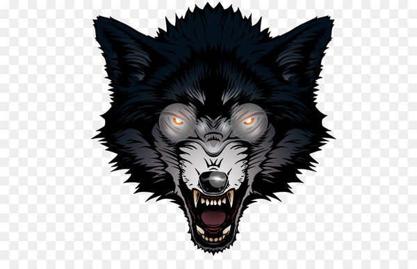 Gray wolf Big Bad Wolf - Ferocious wolf