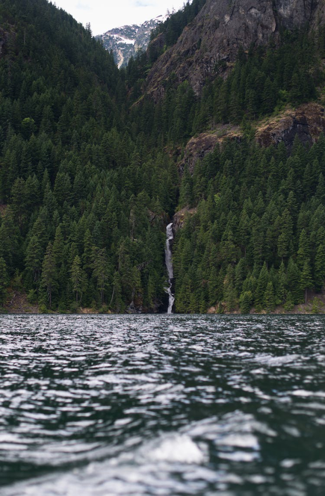 Green Pine Trees on Mountain Beside the Body of Water