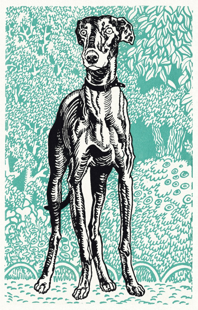 Greyhound (1912) print in high | Free Photo Illustration - rawpixel