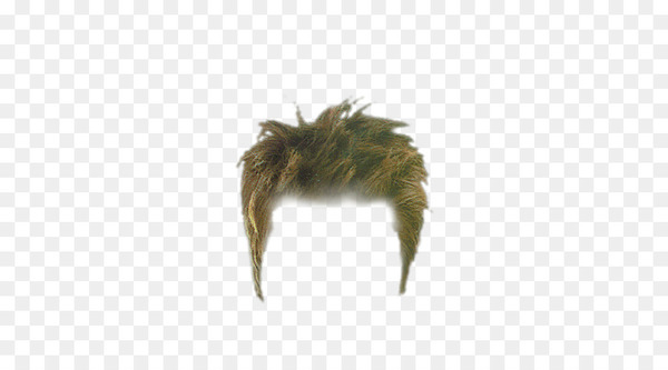 Hairstyle Fashion - Men's hair color fashion