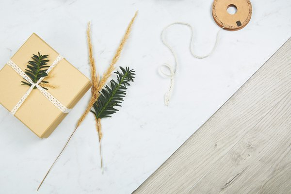 Holiday Gift