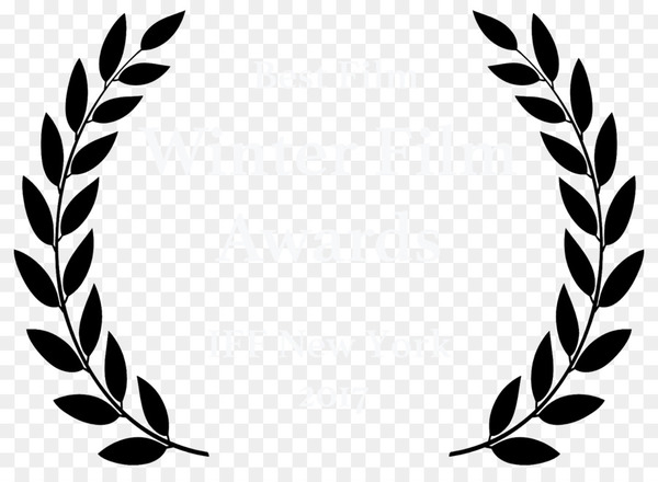 Hollywood Film festival Short Film - awards