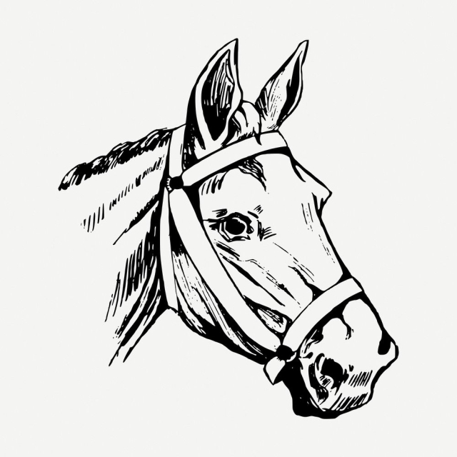 Horse head drawing, vintage wildlife | Free PSD - rawpixel