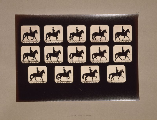 Horses. Trotting (ca.1881) photography in high | Free Photo - rawpixel