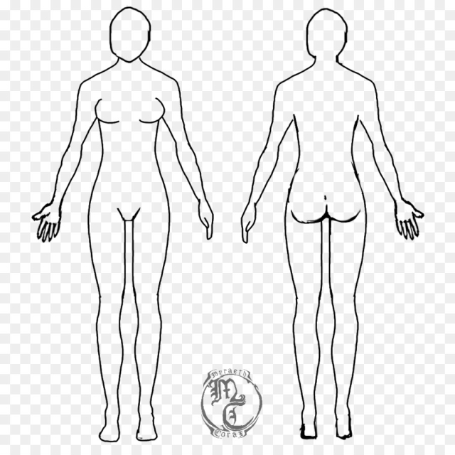 free-human-body-female-body-shape-diagram-drawing-template-body-human-nohat-cc