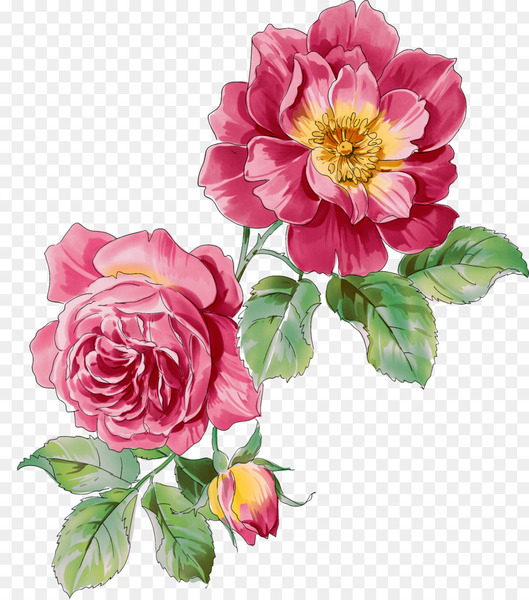Ink wash painting Watercolor painting Flower - Peony Photos