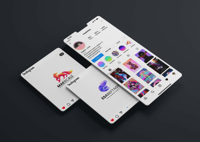 Insta Profile Mockup - Freebies Mockup