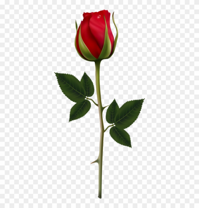 Inteligente, Flores, Rosas Rojas, Clipart, Flor, Decoupage, - Vector Rosa Roja