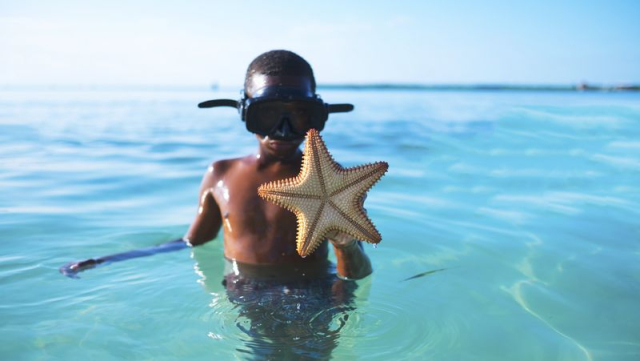 Kid with goggles holding up starfish | Free Photo - rawpixel