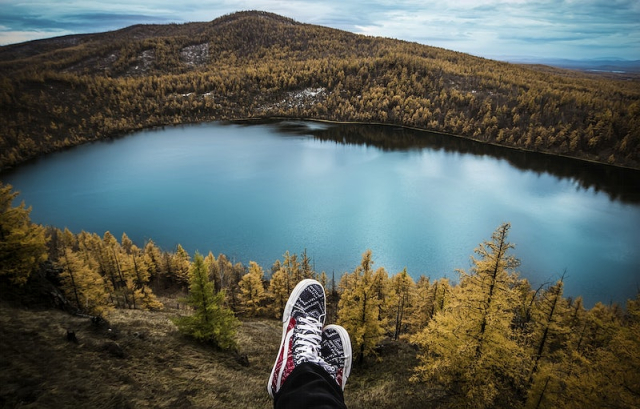 Lake surrounded by trees landscape, | Free Photo - rawpixel
