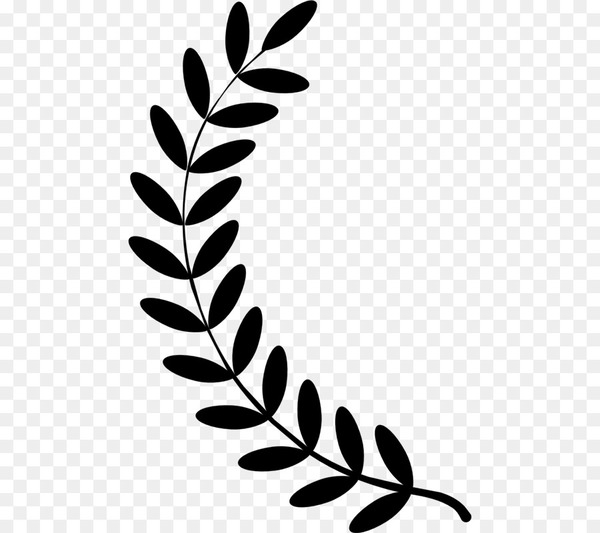 Laurel wreath Bay Laurel Clip art - laurel