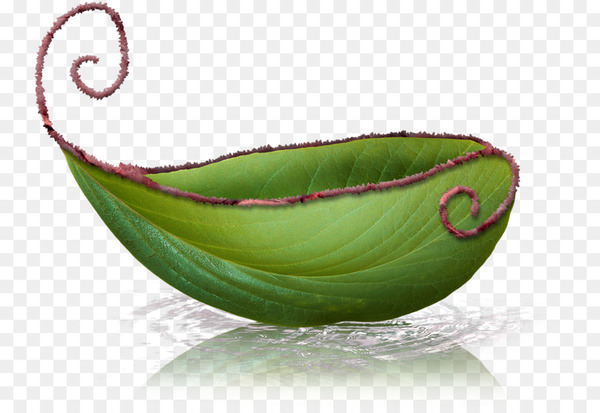 Leaf boat - Green leaf boat