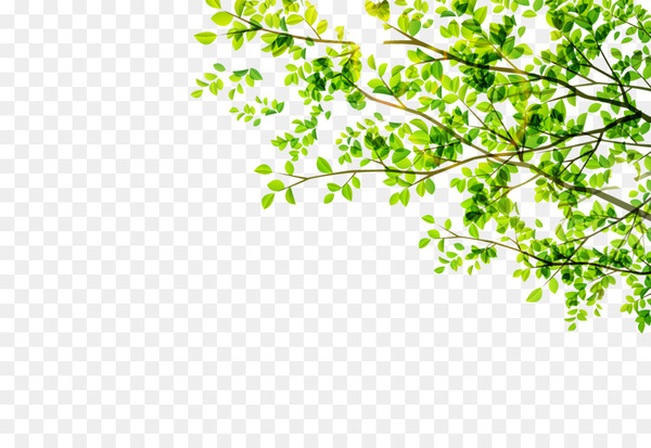 Leaf Green - Green leaves